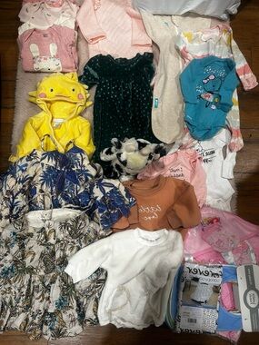 Large  Baby Girls Clothing Bundle (0-6m)